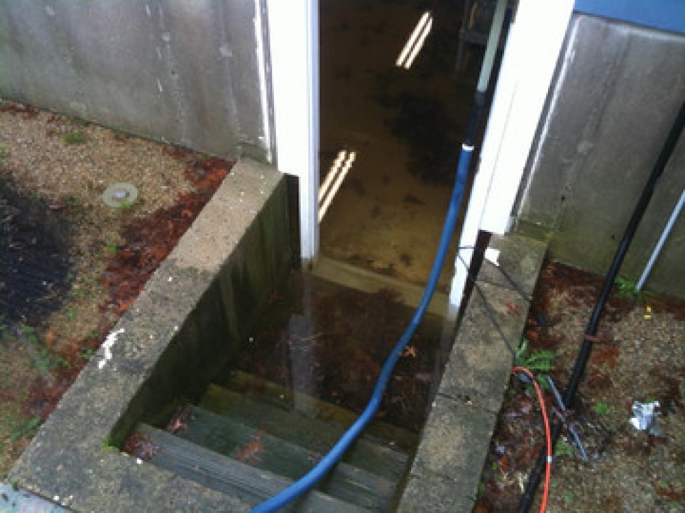 a wet flooring of a basement